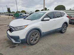 2020 Honda Cr-v exl for sale in Miami, FL