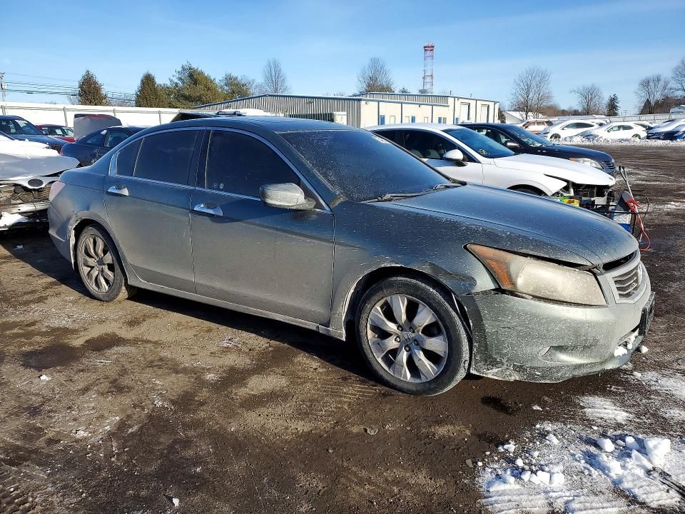 2010 Honda Accord exl