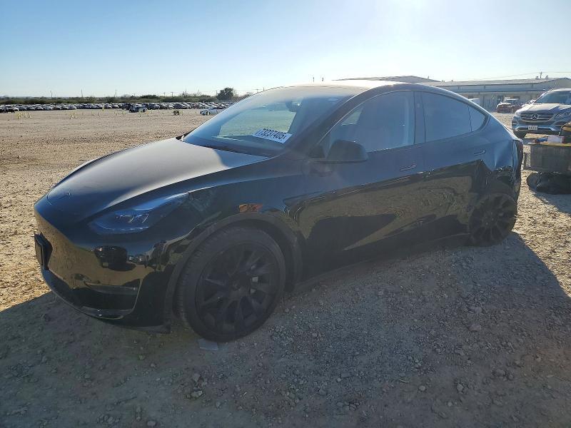 2025 Tesla Model y