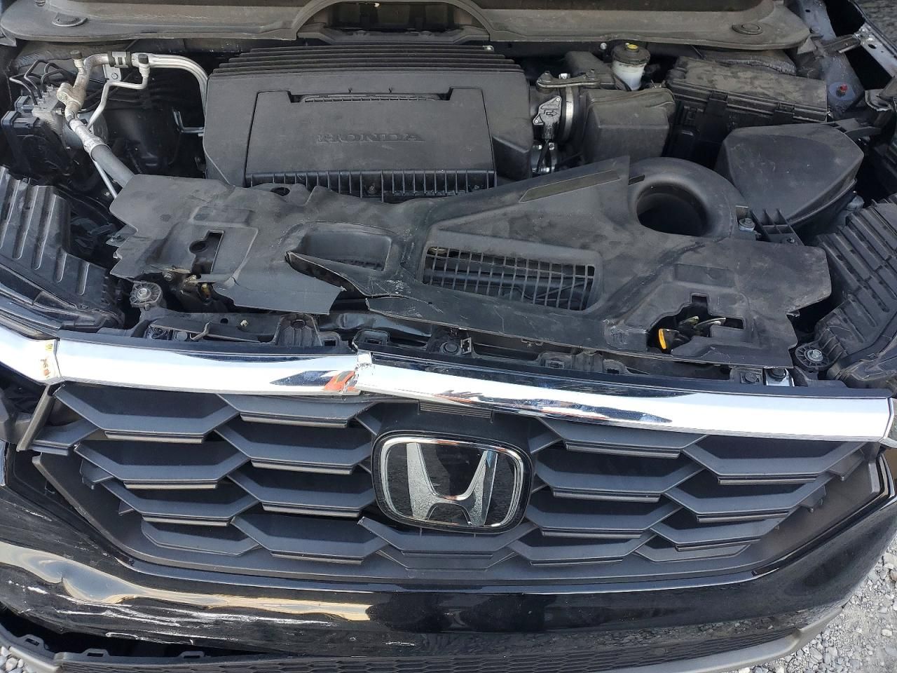 2025 Honda Pilot exl