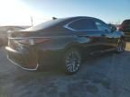 2025 Lexus Es 300h Luxury