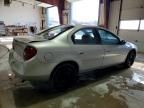 2000 Dodge Neon Base