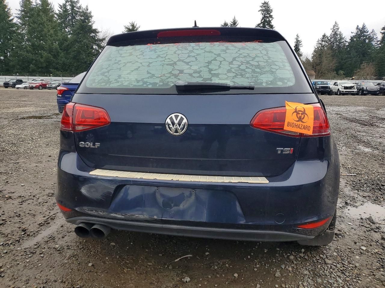 2016 Volkswagen Golf S/se