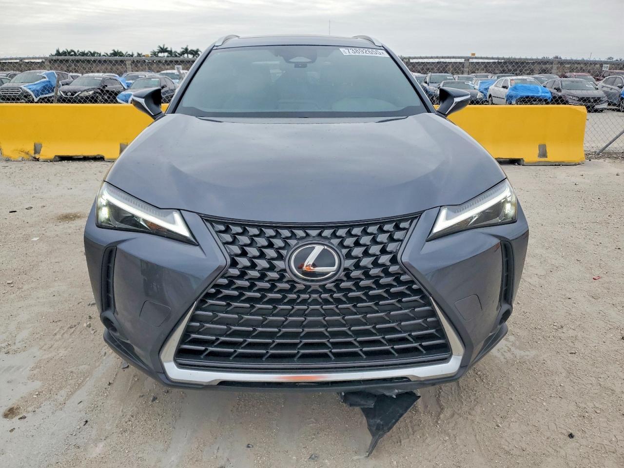 2025 Lexus Ux 300h Base