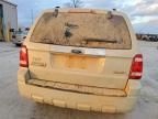 2008 Ford Escape Limited