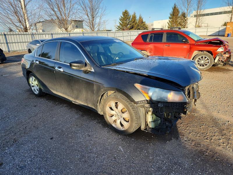 2011 Honda Accord exl