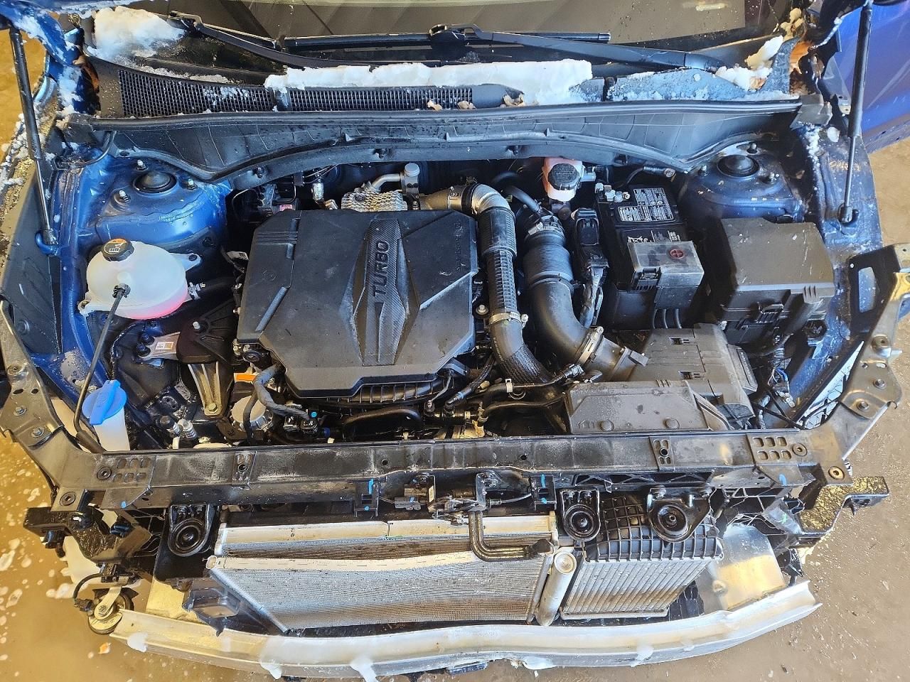 2023 Hyundai Santa fe Calligraphy