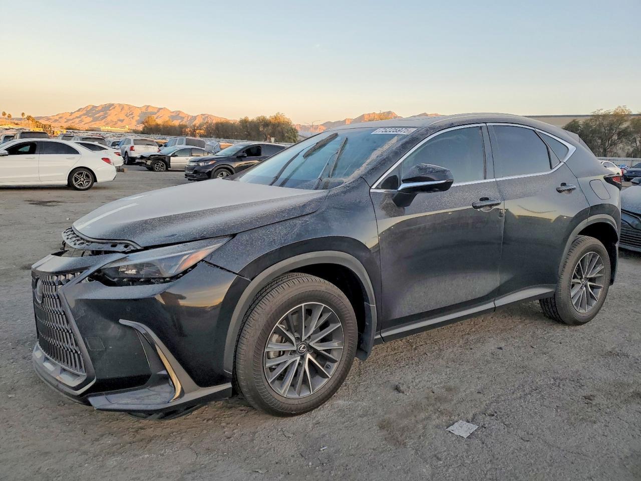 2025 Lexus Nx 350 Premium