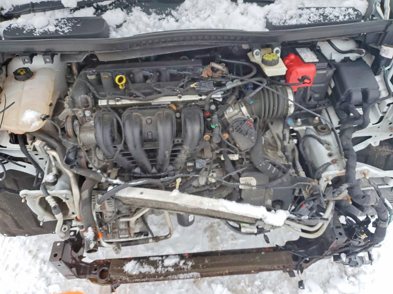 2020 Ford Transit Connect XLT