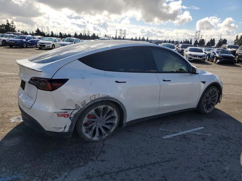 2023 Tesla Model y
