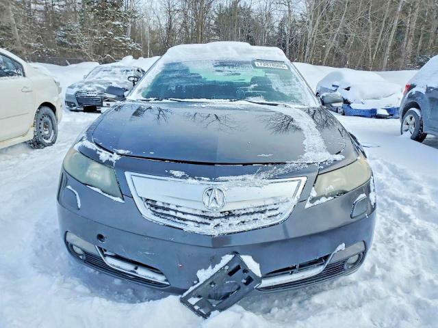 2014 Acura Tl Advance