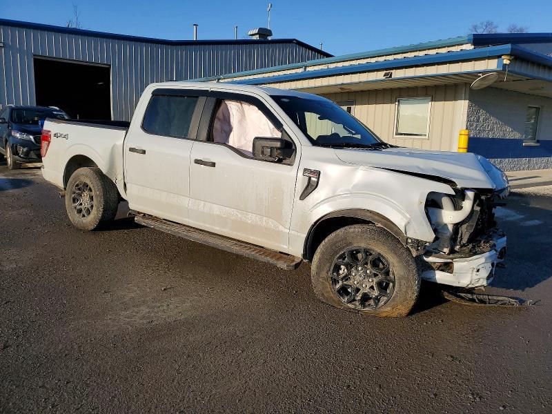2025 Ford F150 stx