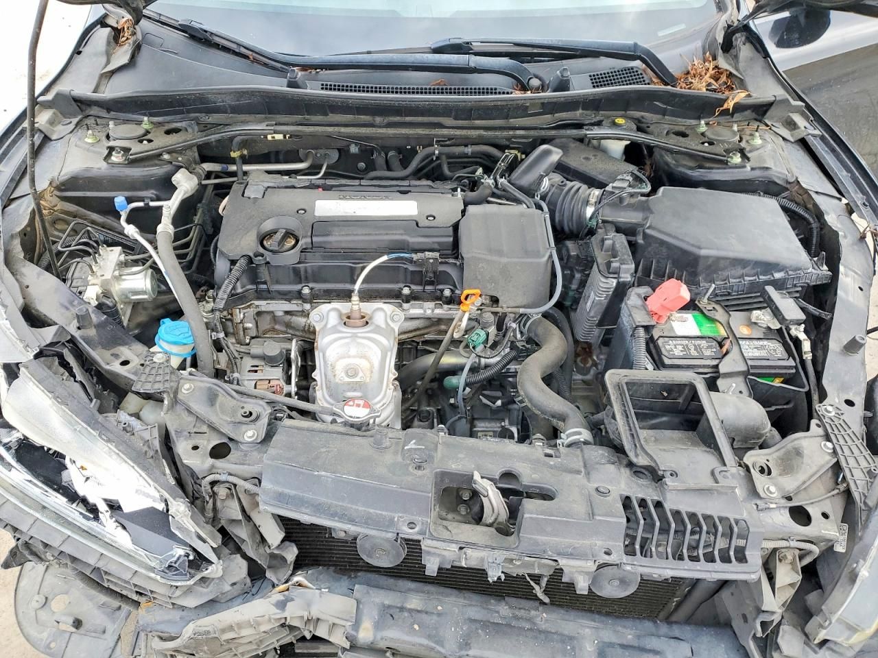 2014 Honda Accord ex