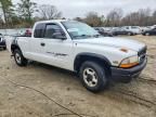 1999 Dodge Dakota