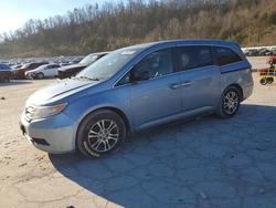 Honda salvage cars for sale: 2011 Honda Odyssey exl