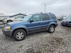 2005 Ford Escape xlt