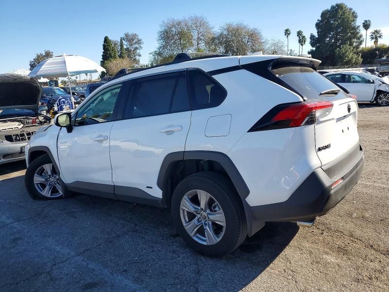 2025 Toyota Rav4 xle