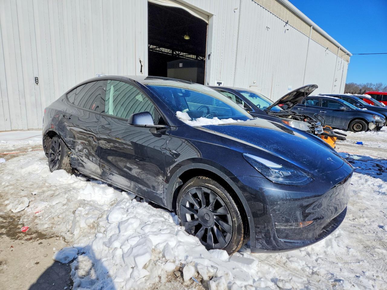 2025 Tesla Model y