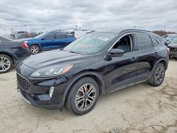 Ford salvage cars for sale: 2020 Ford Escape sel