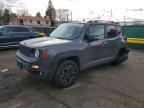 2017 Jeep Renegade Trailhawk
