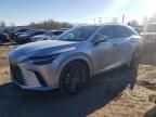 2023 Lexus Rx 350 Base