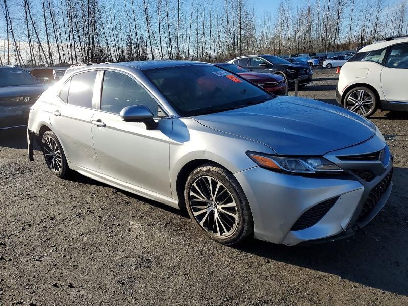 2019 Toyota Camry l