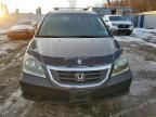 2010 Honda Odyssey ex