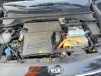 2019 KIA Niro ex