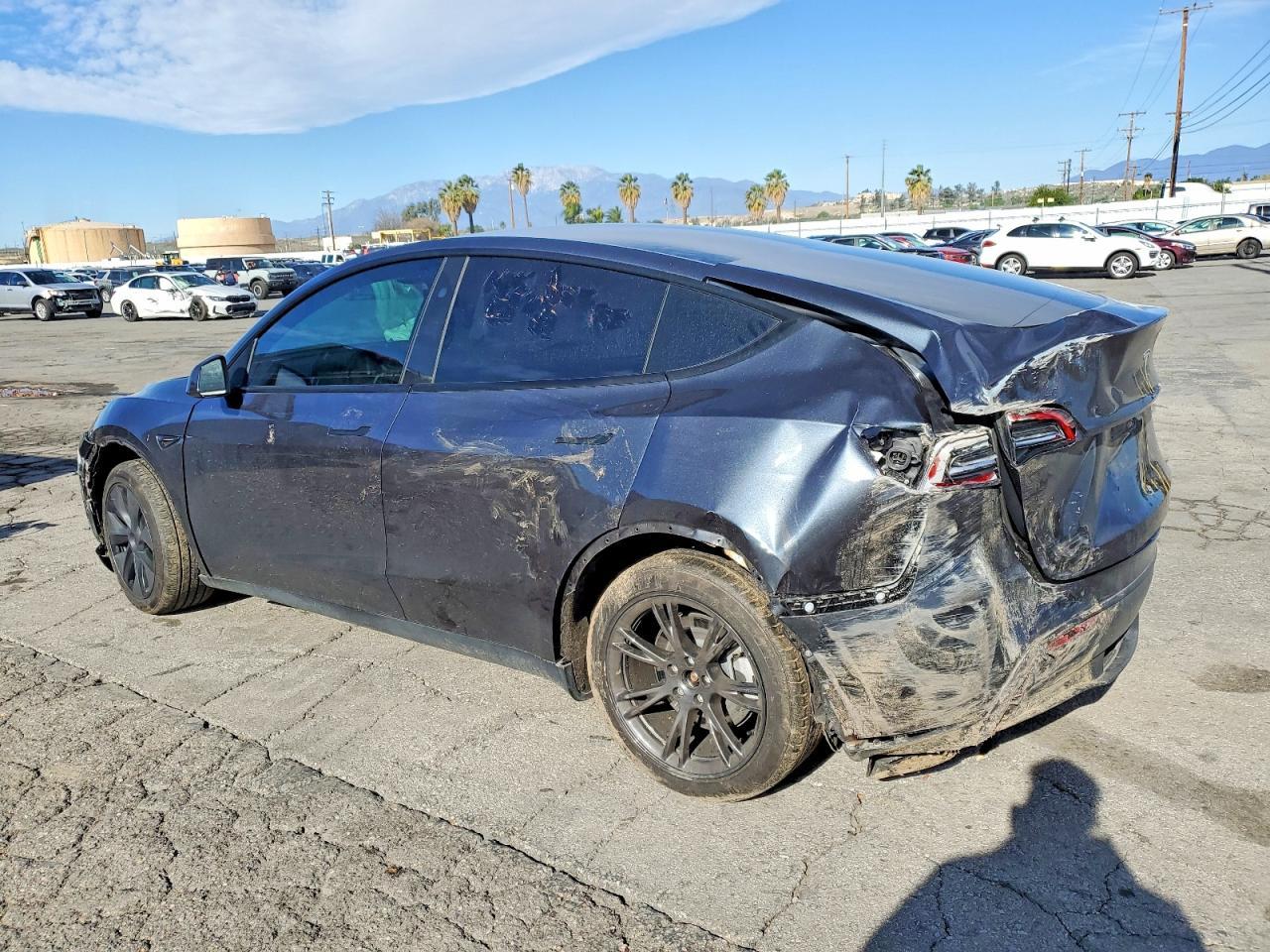 2025 Tesla Model y