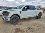 2024 Ford F150 xlt