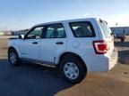 2008 Ford Escape xls