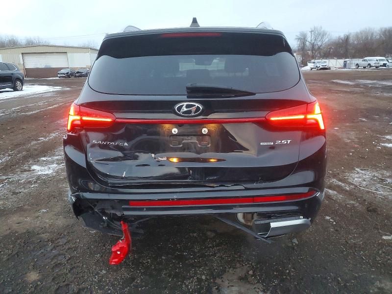 2023 Hyundai Santa fe Calligraphy