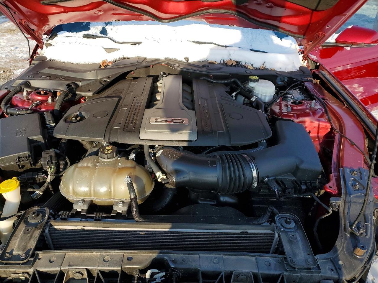 2019 Ford Mustang gt