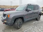 2017 Jeep Renegade Trailhawk
