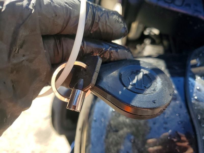 2017 Harley-Davidson Fltru