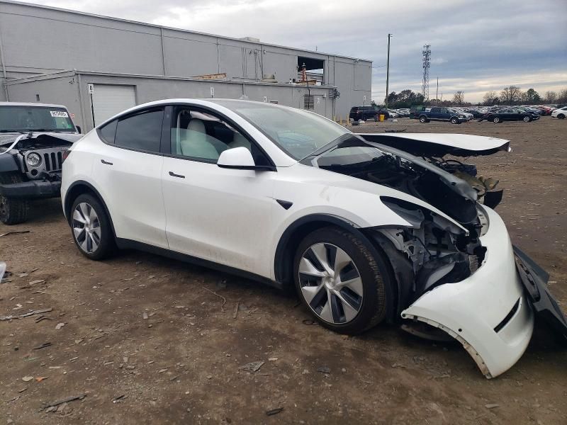 2021 Tesla Model y
