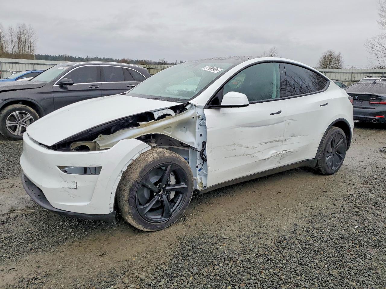 2026 Tesla Model y