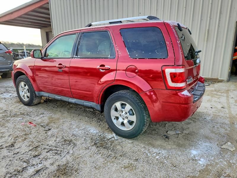 2011 Ford Escape Limited