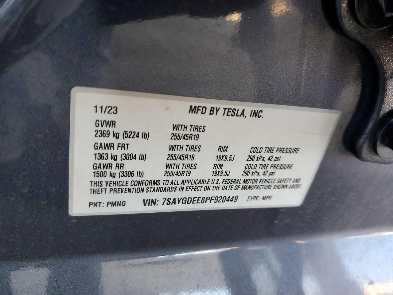 2023 Tesla Model y