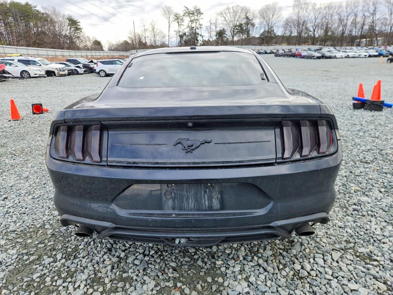 2019 Ford Mustang