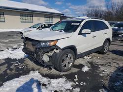 KIA Sorento ex Vehiculos salvage en venta: 2013 KIA Sorento ex