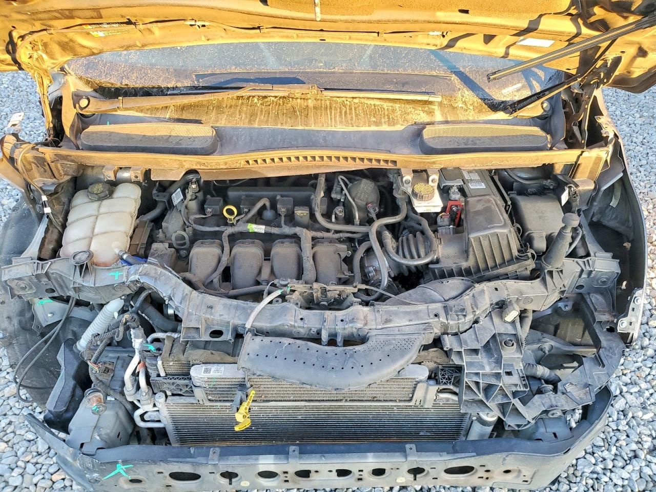 2019 Ford Transit Connect xlt