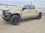 2023 Chevrolet Silverado K1500 Trail Boss Custom