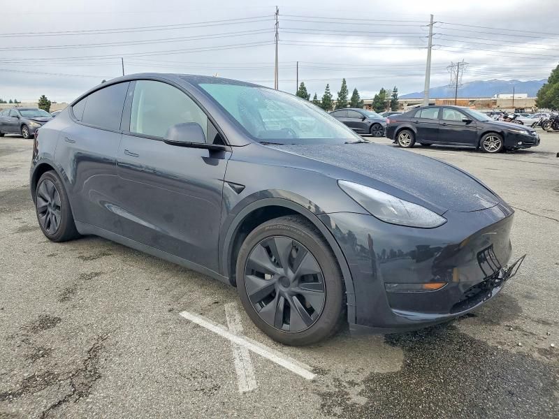 2025 Tesla Model y