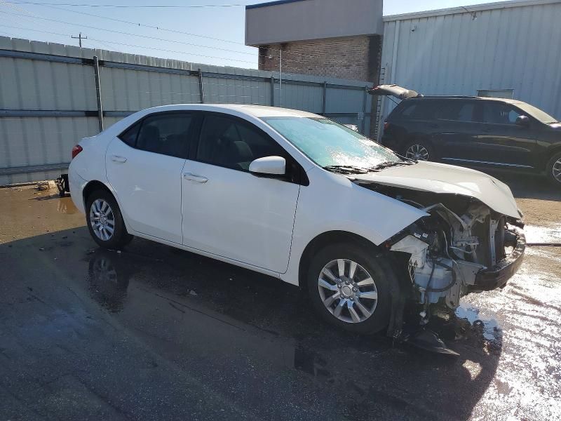 2019 Toyota Corolla l