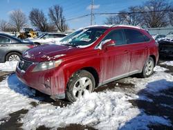 Lexus Vehiculos salvage en venta: 2010 Lexus Rx 350