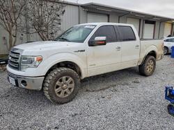 Salvage cars for sale from Copart Grenada, MS: 2014 Ford F150 Supercrew
