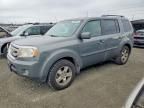 2009 Honda Pilot exl