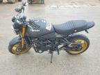 2025 Kawasaki ZR900 N