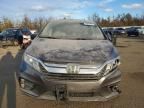 2019 Honda Odyssey exl